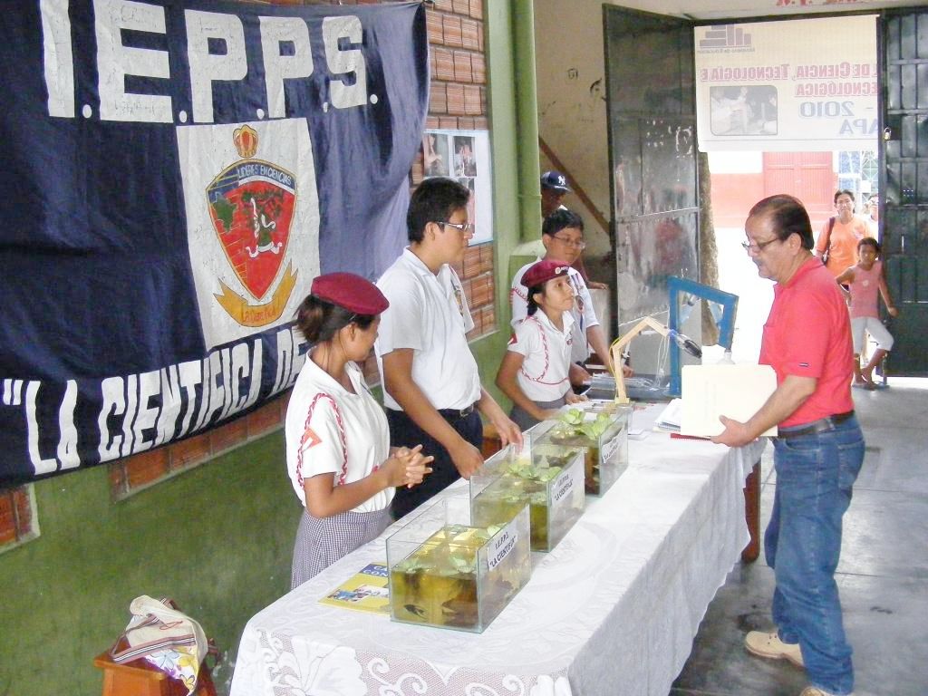 Gorel, Convocan a Concurso Escolar