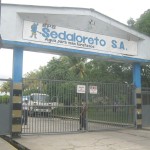 sedaloreto