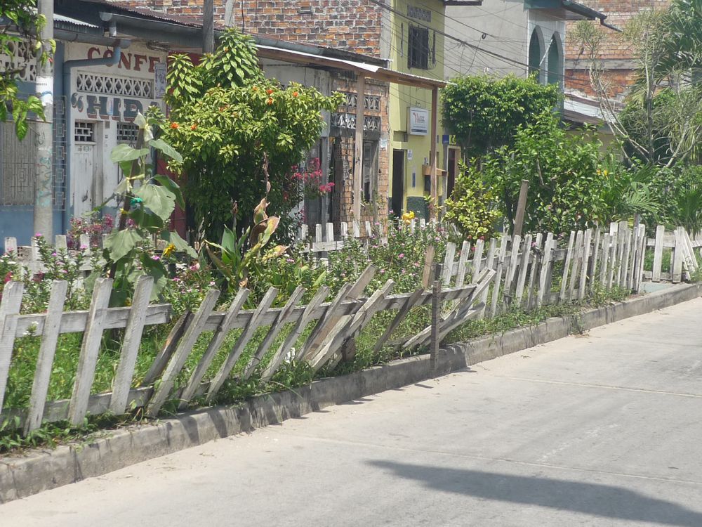 En vez de pagar bien a la gente de áreas verdes, a los barrenderos de la ciudad, se empeñan en seguir acorralando los jardines de Iquitos.