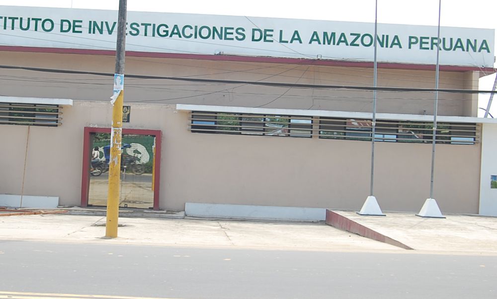 Siguen cuestionamientos al IIAP mientras que hoy se inicia actividad cultural en su local central.