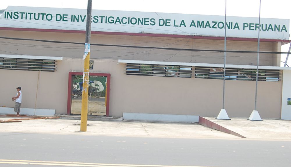 IIAP debe volver a estabilizarse para que gastos se hagan de acuerdo a Ley.