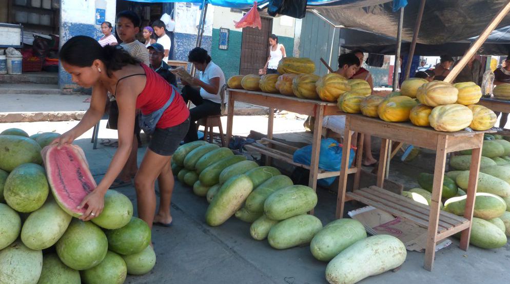 Gran cantidad de sandías y melones para presentarlos en la mesa familiar.