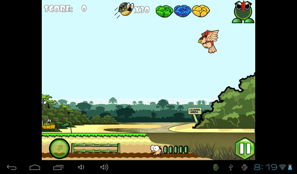 Primer video juego amazónico "Charapita Flyer"