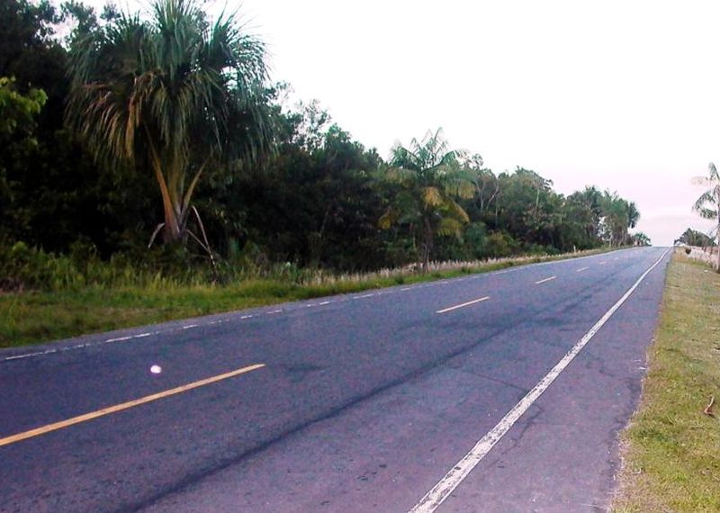 Excesiva velocidad sigue cobrando más vidas humanas y nadie hace nada. ¿Serán reconocidos los derechos de seguro de los accidentados?