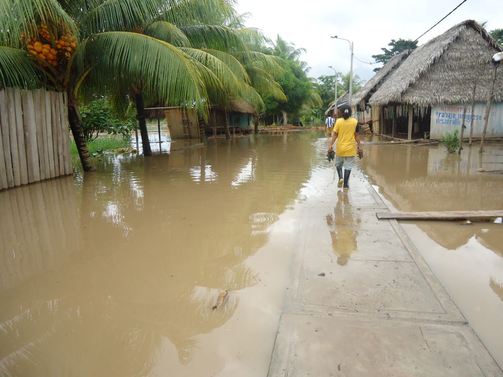 Iquitos creció de una manera desmesura, sin planificación. Esto también hace un recuento el autor del libro ""De la Maloca al Partenón"