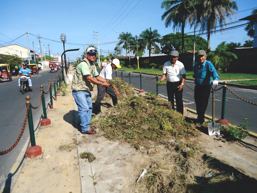 Cuidado de áreas verdes
