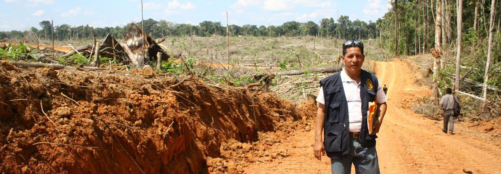 Fiscal detiene deforestacion en tamshiyacu