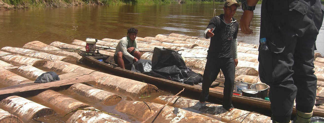Intervienen trozas de madera