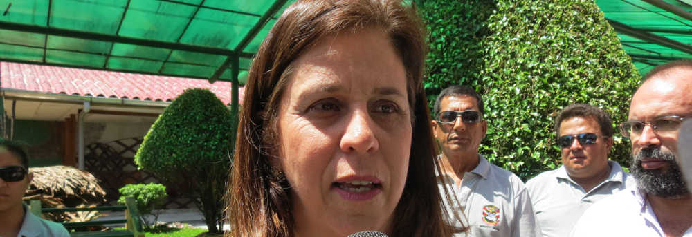 María Elvira Pombo Holguin, Embajadora de Colombia en el Perú