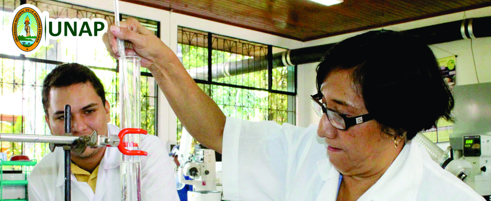 Investigacion UNAP