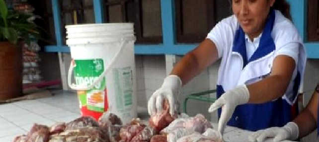 Carne en descomposición