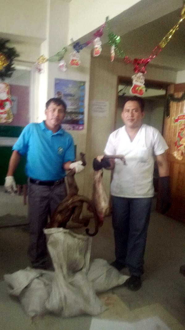 Donan a instituciones benéficas carne del monte decomisada