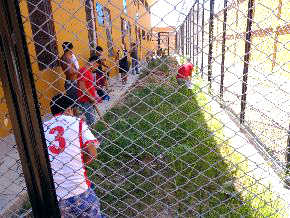 Bio huertos en penal de Yurimaguas