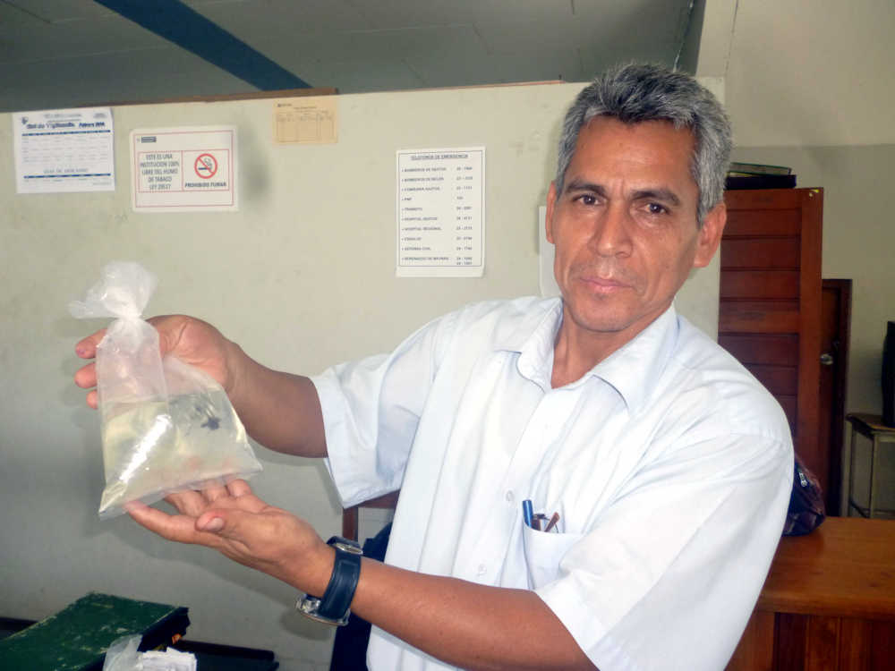 Jefe de DISECOVI, Biólogo Roy Lozano, mostrando cómo transportan en bolsitas los alevinos.