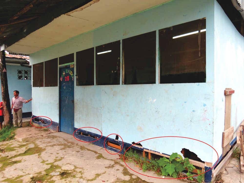 Colegio «Las Malvinas» se cae a pedazos