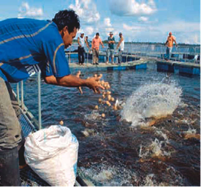 IIAP, desarrollo sostenible e inclusivo en el territorio amazónico