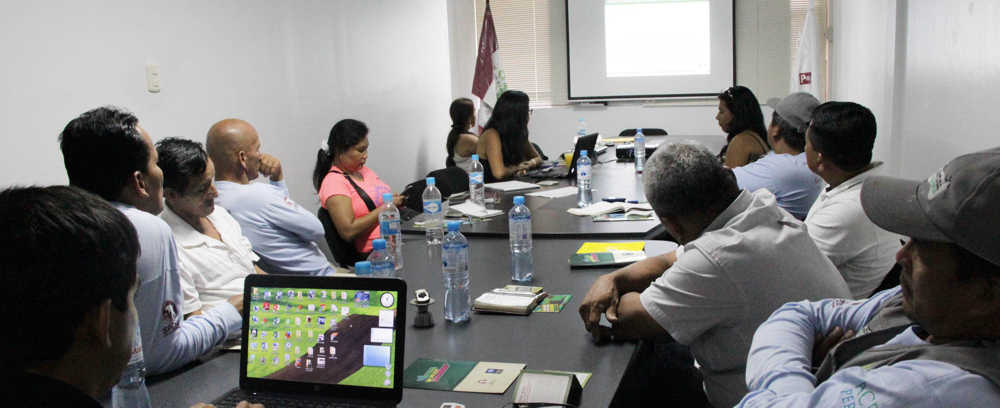 Capacitación Comité de Gestion de la RNPS
