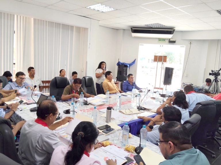 Aprueban plan multisectorial para la reducción de la anemia materno infantil 2025-2030 en Loreto
