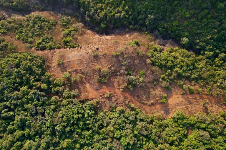 Así trabajan los algoritmos que luchan contra la tala ilegal en la Amazonía peruana