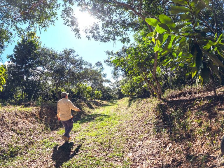 Programa Bosques conservó cerca de 1.8 millones de hectáreas de bosques con mecanismo de incentivos y planes de negocios