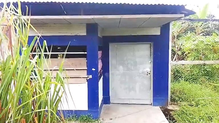 Presuntos traficantes de tierras siembran terror