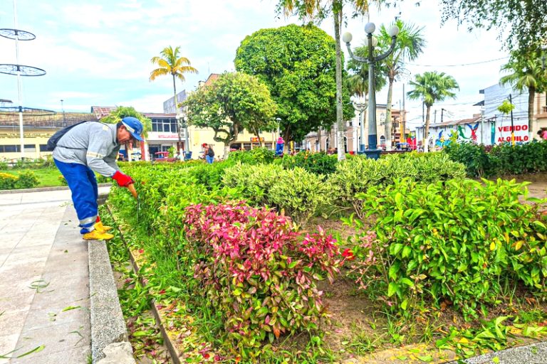 Maynas prosigue con poda de árboles y jardinería
