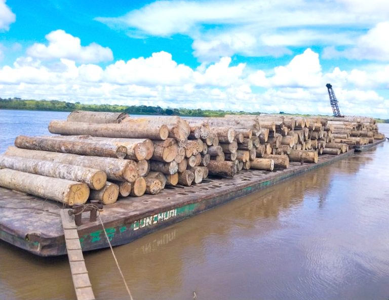 Control forestal en Contamana busca asegurar el aprovechamiento sostenible de los bosques