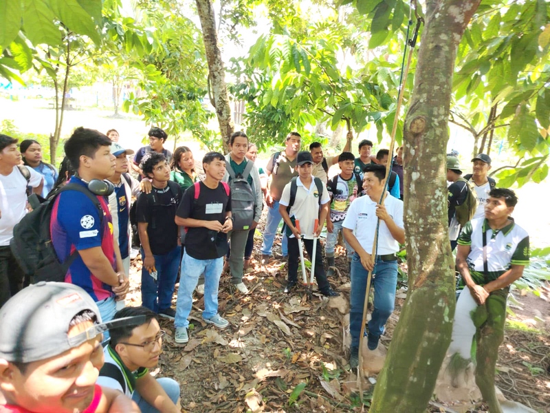 50 estudiantes mejoran sus capacidades para el manejo productivo del cacao