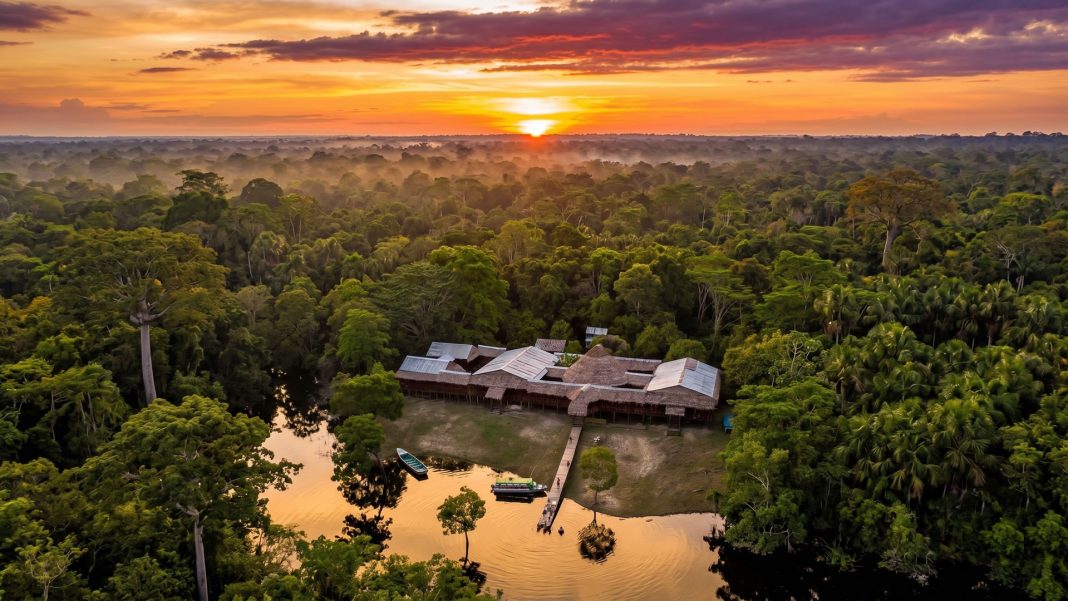 rainforest-peru